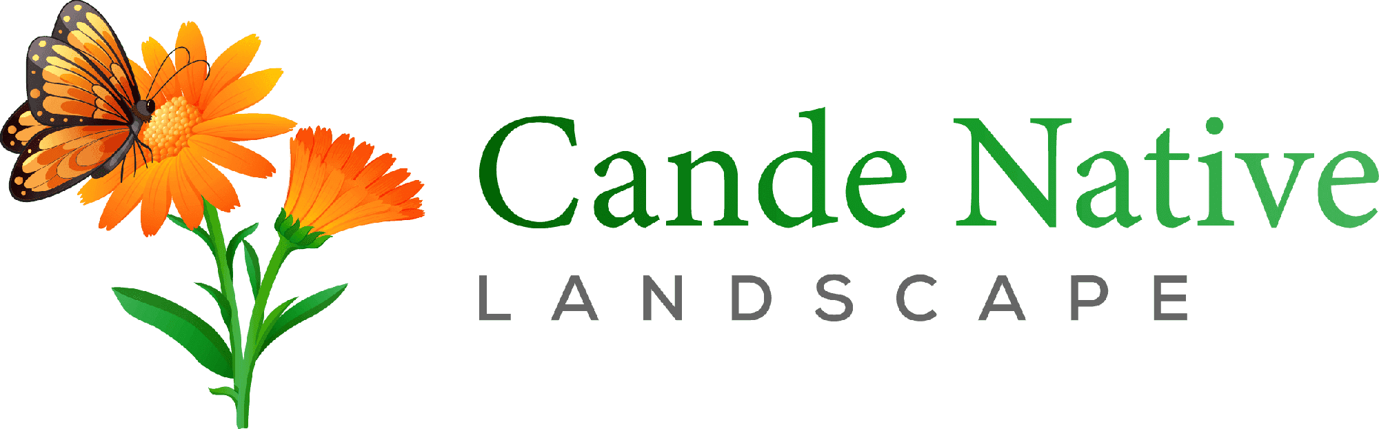 Cande Native Landscape