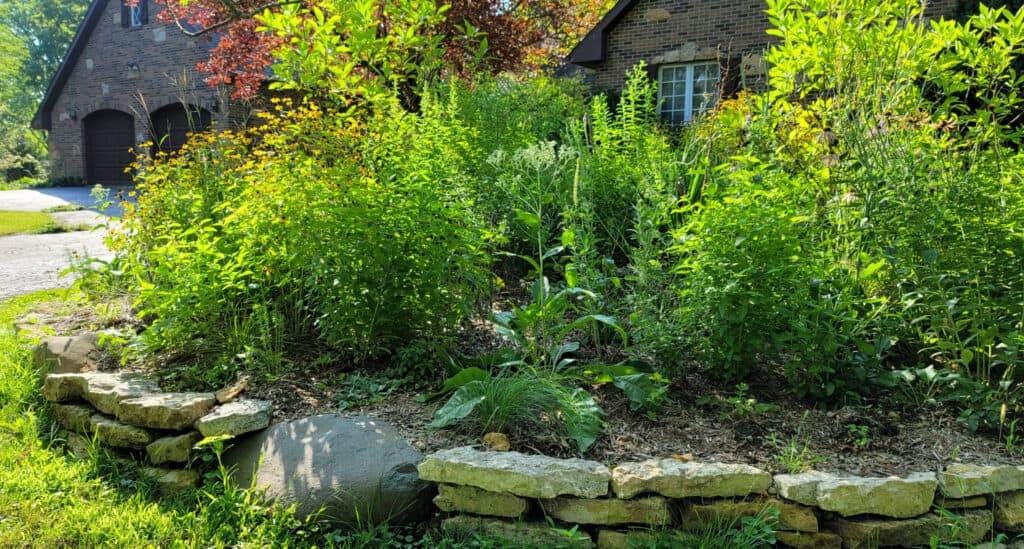 garden and retaining wall