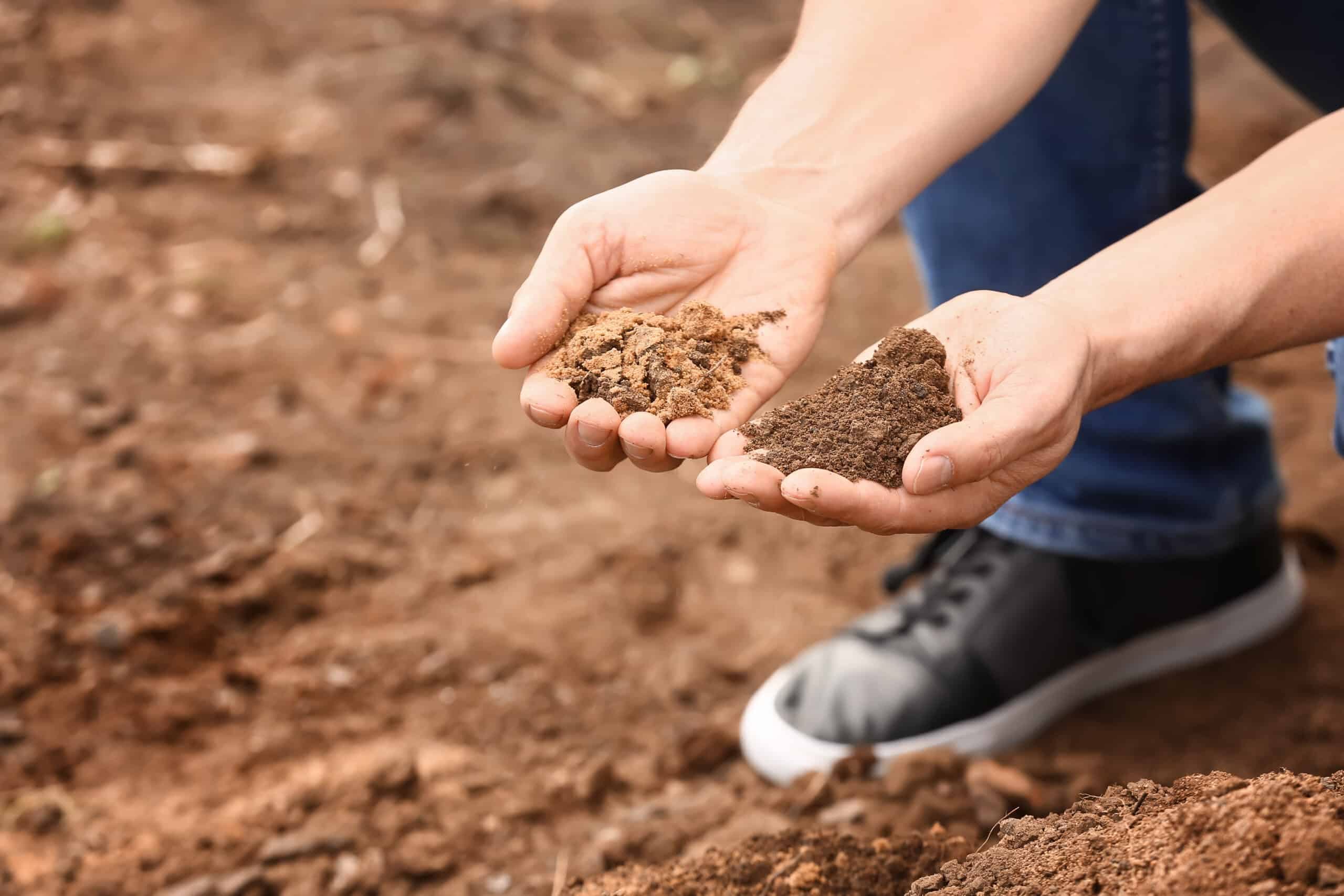 soil testing