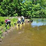 Yorkville IL Native Landscape