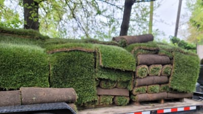 Chicago Lawn Care