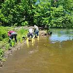 Yorkville IL Native Landscape