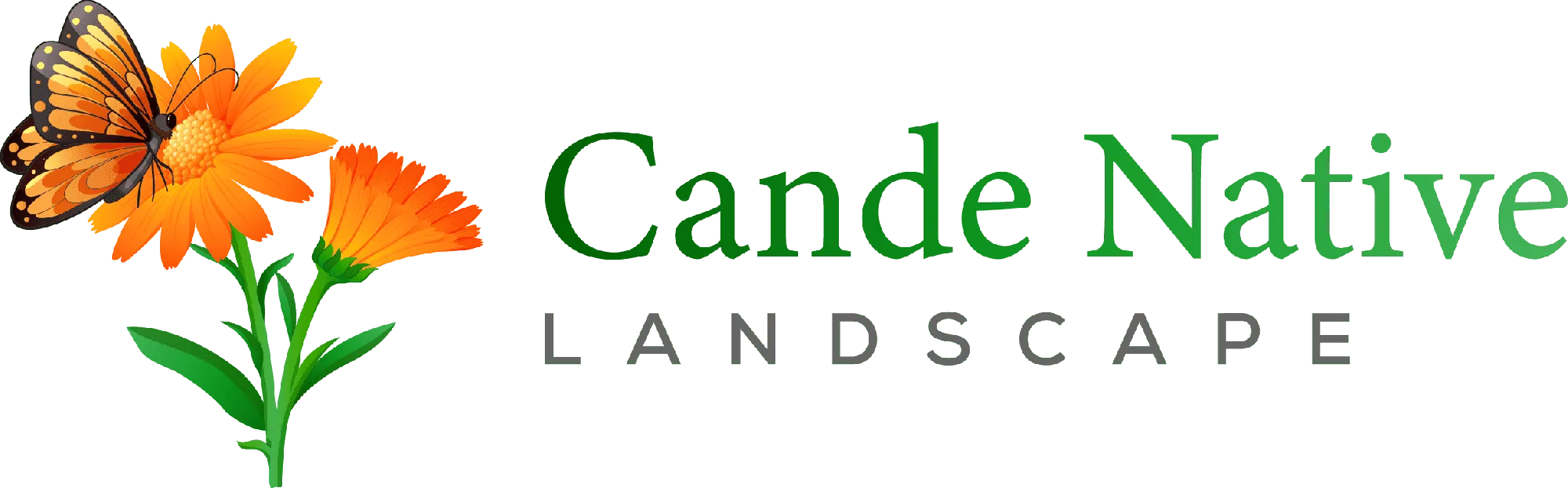 Cande Native Landscape