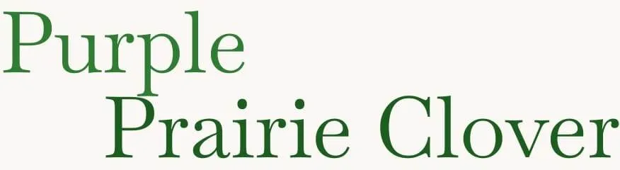 purple prairie clover