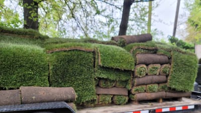 Chicago Lawn Care