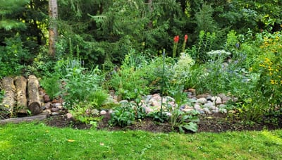 woodland garden