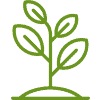 native landscaping